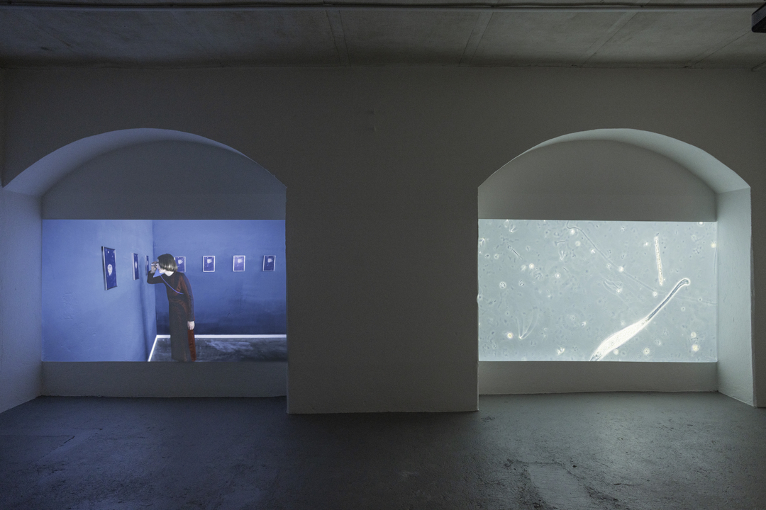 Installationsansicht Laila Kaletta, «Cilia in the net of analogies», 2022, 2-Kanal Videoinstallation, Loop, 15 min, Museum Langmatt
